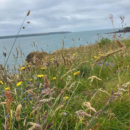 Farmhouse Apartment Saint Ishmaels (Pembrokeshire) Exterior foto