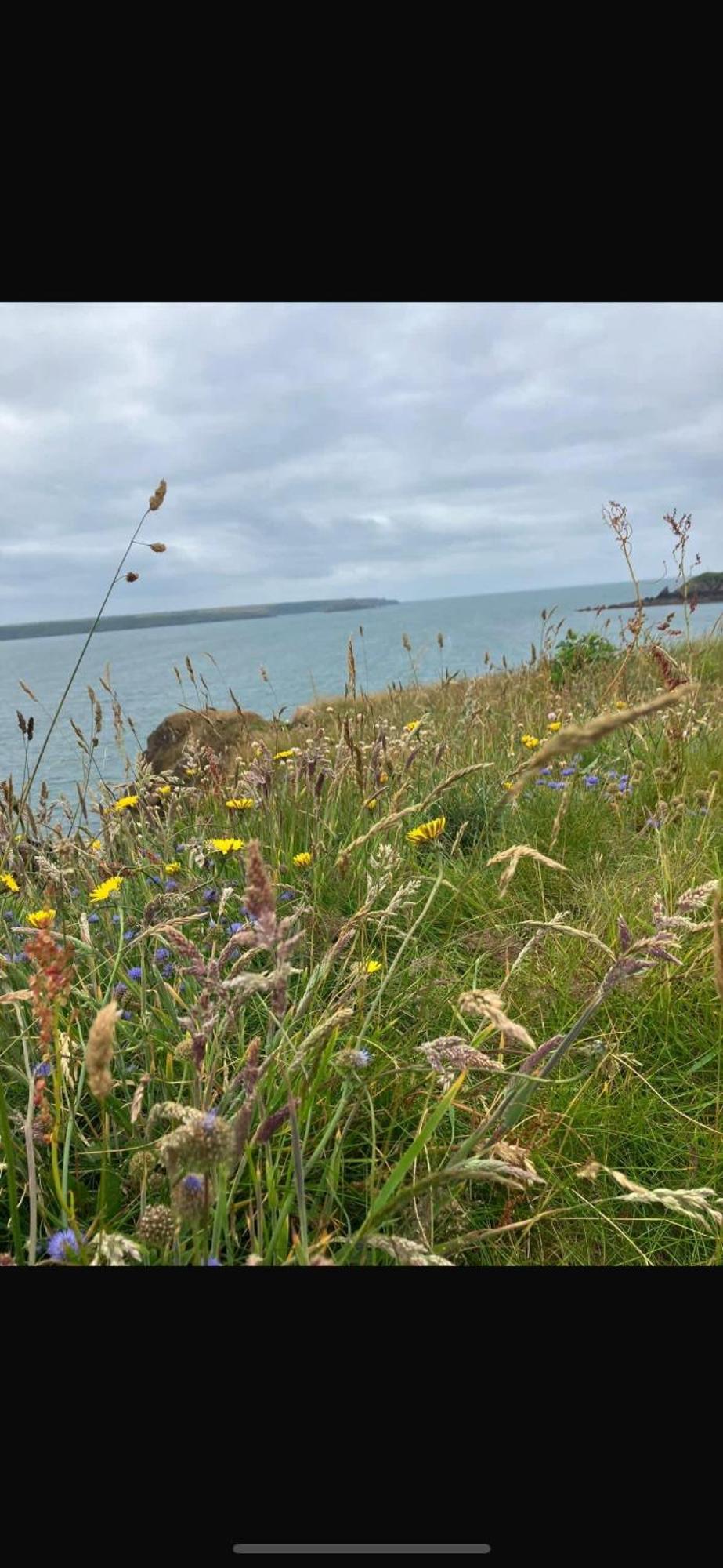 Farmhouse Apartment Saint Ishmaels (Pembrokeshire) Exterior foto